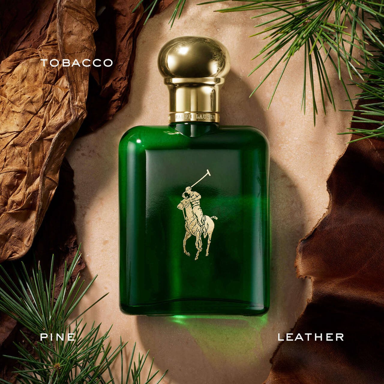 Polo 118ml Edt M